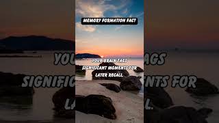 🧠 Memory Hack: Sleep Boosts Information Retention! #BrainFacts #MemoryTips #SleepScience 💤