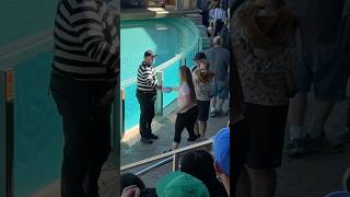 The crowd’s reaction was priceless! 😂 Tom mime Seaworld #seaworldmime #funny #tomthemime #shorts