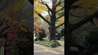 東京日比谷公園
