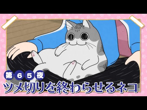 アニメ『夜は猫といっしょ』第65夜「ツメ切りを終わらせるネコ」