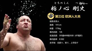 [相撲力士介紹]相撲界的尼古拉斯·凱奇,歐洲人大關--栃ノ心 #shorts