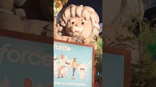Salesforce Dreamforce National Park 2024 #salesforce #dreamforce #dreamforce #love #enjoy #agent