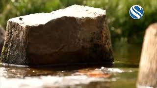 আশঙ্কাজনক হারে বাড়ছে পানি দূষণ,  বিভিন্ন কোম্পানির পদ্ধতি ও প্রক্রিয়াগত ব্যর্থতাকে দায়ী | Channel S