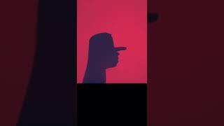 Extreme Shadow Puppets