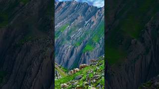 Best of Skye world And Excellent #youtube #youtubeshorts #music #shortvideo #trending #love