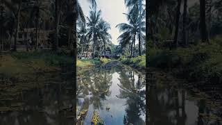 THENGAPPURA by ATTICLAB