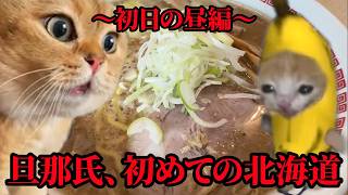 My husband's first trip to Hokkaido ~First day: Sumire~ #CatMani #CatMeme