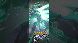 一拳白龍