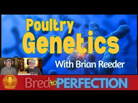 Ep174 - Unlocking the Secrets of Chicken Breeding with Brian Reeder