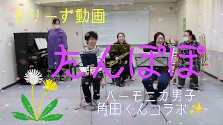 【コラボ感謝(ㅅ´ ˘ `)】学童のうた  たんぽぽを演奏したよ🎶   featuring ハーモニカ男子 角田くん
