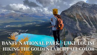 Banff National Park｜Lake Louise｜Hiking in The Most Beautiful Golden Larches