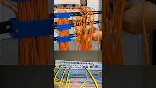 Wi-Fi server room #shortvideo #smartphone #internetaccess #wifi #facts #internetrouter #automobile