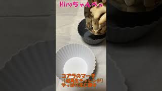 【逆再生チャレンジ】やっぱりノーマル再生へ戻す【Undo from Reverse Play Challenge】#shorts #asmr