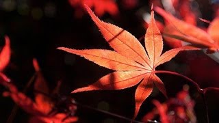 證券投資技術分析入門 – 正向交易標的20151013