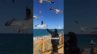 青甘大环线豪华大巴开通了！从广东出发坐上 2+1 豪华航空大巴去大西北，这17 天都是什么神仙日子，这其中到底有没有坑，全程给大家体验一遍大西北旅行推荐官 大巴游