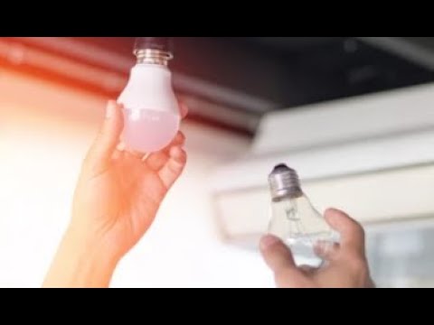 Bulb