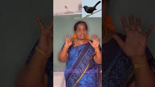 கருங்குருவிவீட்டிலொருகல்யாணம்#பாடல்350#part2#songs#shorts@packiateacher