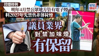 控煙修例｜明年4月禁公眾地方管有電子煙 料2027年先禁售非薄荷煙 議員業界對禁加味煙有保留｜星島頭條新聞｜控煙｜電子煙｜薄荷煙｜煙草｜吸煙｜禁煙區｜遊客