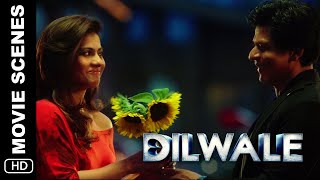 Meera & Kaali's Romantic Date | Dilwale Scene | Shah Rukh Khan, Kajol, Varun Dhawan, Kriti Sanon