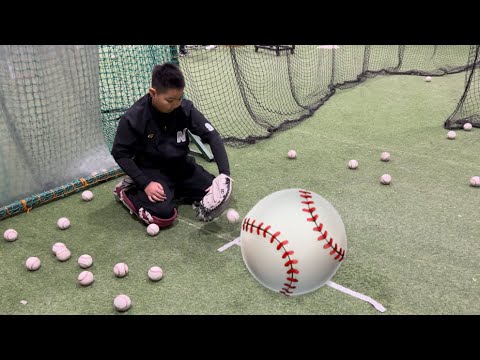 포수 핸들링 / Catcher Handling