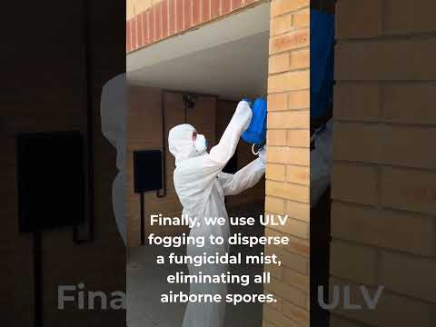 So Satisfying! Mould Removal Service in a Parking Garage