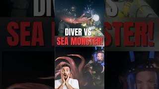 Diver Grabs a Giant Squid Underwater… Then This Happens!