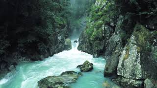 #Relaxingmusic#Uplifting#musicfiles#sounds#moodenhance#positivity
