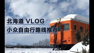 小众路线的北海道旅行 VLOG（带详细讲解版）内附详细攻略丨雪地泡温泉丨马肉什么味道？丨近距离看企鹅