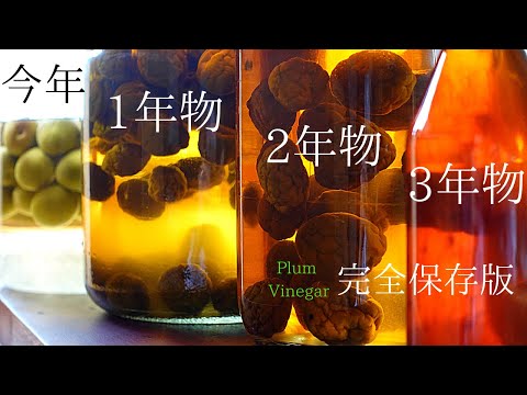 酢を使った【梅シロップの作り方】明治から150年続く～保存食の梅仕事