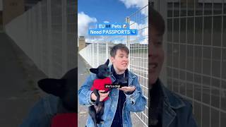 EU pets need PASSPORTS!