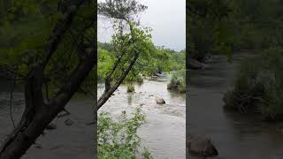 #nature #beautiful #shortvideo #calmmusic #calming