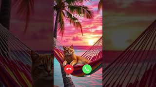 "The Cat Is Calling" #cat​​​​​ #youtube​​​​​ #petlove​​​​​ #shorts​​​​​