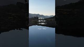 #名言 #格言 #名言集 #マインドセット #名言シリーズ #格言シリーズ #哲学 #格言好きな人と繋がりたい #格言集 #思想