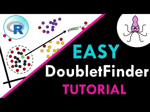 Easy DoubletFinder tutorial in R (scRNAseq)