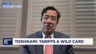 Global diversification makes sense as tariffs remain a 'wild card': Expert