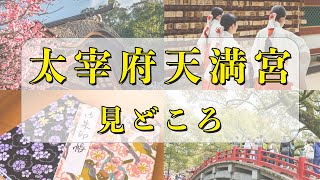 【完全ガイド】太宰府天満宮のご利益・参拝方法・御朱印・隠れスポットを徹底解説！