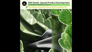 Turning a Cactus into a ECO Leather