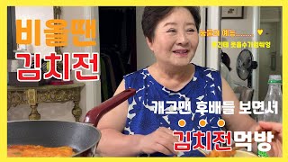 [비오는날 김치전] 개그우먼 문영미의 후배들 예능 '1호가 될수없어' 보면서 김치전 먹방