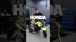 How far can Honda MSX 125 go with 1L of gasoline? #msx