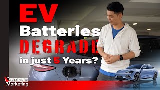 EV Batteries Degrade in Just 5 Years? | Learns Car Series