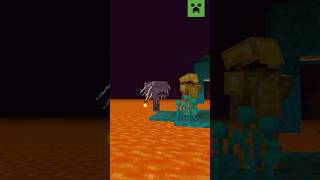 WHO ARE YOU IN THE NETHER?