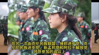 缅甸内战系列12：克伦尼军