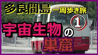 ①【多良間島】一周歩き旅 「銀色の宇宙石  カラス鳩 100点の民家」