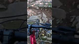 Crazy Tech #blacktech #mtb #highland #easternhemlock