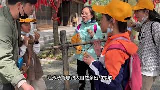 大康画室｜项目式教学《森林公园改造》