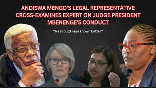 Andiswa Mengo’s Legal Representative cross-examines Expert on Judge President Mbenenge’s conduct 