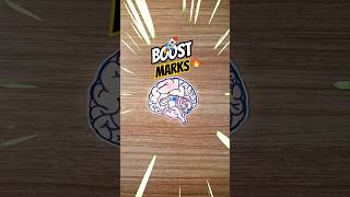 Boost your marks now with this💡📚 #study #shorts #studytips