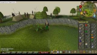 runescape pure review