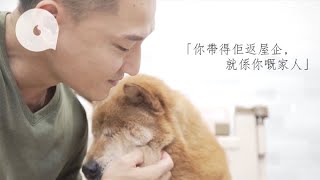【亞洲最佳馴犬師】澳洲畢業回港教狗減棄養　「佢咬你一定有原因！」