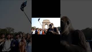 #vlog #vlogs #vlo#vlogging #monkey #money #montage #camera #virel #videos #shorts #vlogvideo #india